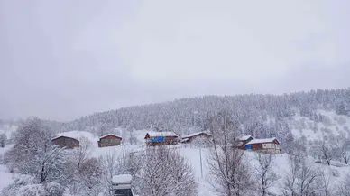 Artvin’de Kar Kalınlığının 1 Metreyi Bulduğu Köyde Gece Gündüz Çatı Temizleniyor