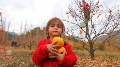 Bahçede 25, Markette 80 Lira