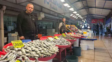 Balık Tezgahlarında Palamut Yerini Hamsi, İstavrit ve Çinekopa Bırakıyor
