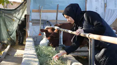 Besin Mühendisi 2 Çocuk Annesi Devletten Aldığı Takviye ile Genç Yaşta Besici Oldu