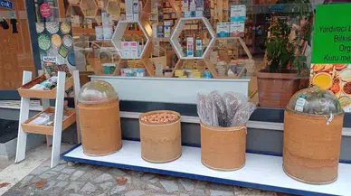 Ceviz Hırsızı Karga Kamerada