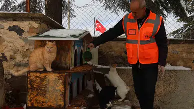Elazığ’da Sokak Hayvanları İçin Tabiata Yem Bırakıldı