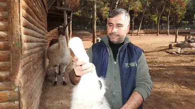 Gaziantep Zoo Parkı’nda Bin 100 Doğum Sevinci Yaşandı