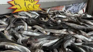 Hamsi Kilosu 100 Liradan Tezgaha İndi