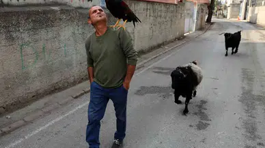 Horoz ve Keçileriyle Arkadaş Oldu