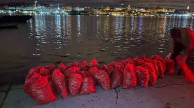 Kadıköy’de 1 Ton Kaçak Midye Ele Geçirildi