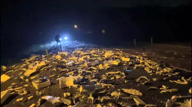 Kara Yolu Balık Haline Döndü