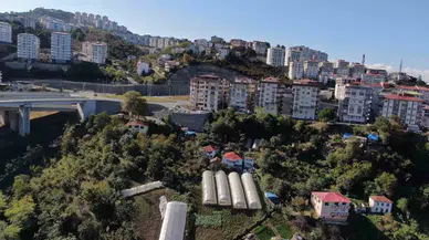 Kent Merkezinde Apartmanlar Ortasında Organik Tarım Yapıyorlar