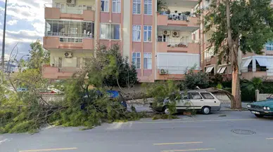 Mersin’de Fırtına Ağaçlar Devrildi, Araçlar Ziyan Gördü Camlar Kırıldı