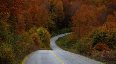 Ordu’da Sonbaharda Renk Cümbüşü
