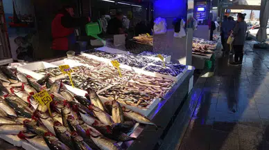 Palamut Tezgahlarda Yerini Hamsiye Bırakıyor