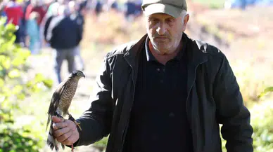 Rize’de Atmacalar Bu Defa Bıldırcın Avında Yarıştı