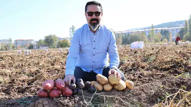 Sivas’ta Renkli Hasat Başladı