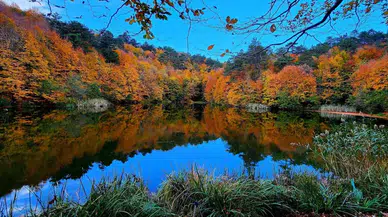 Yalova Kent Ormanı, Sonbahar Renklerine Büründü