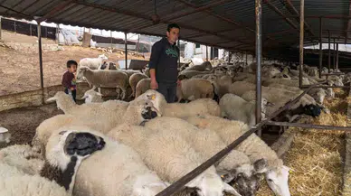 Yangın Mağduru Çiftçilere 225 Ton Yem Dayanağı