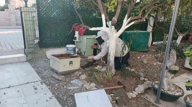 Yazlığına Geldiğinde Arı Kolonisiyle Karşılaştı, Zabıtayı Aradı