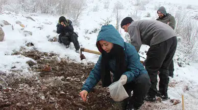 ’Yitik Türk Lalesi’ Gurbetten Amasya’ya 45 Bin Tohumla Döndü