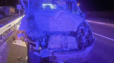 Yola Atlayan İnek Minibüsü Hurdaya Çevirdi: 4 Yaralı
