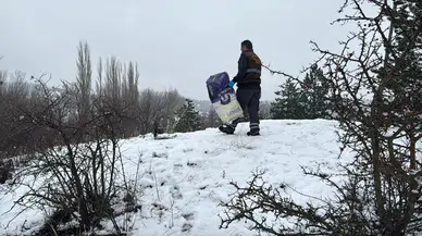 Belediye Hayvanları Unutmadı