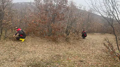 Hububat Zararlılarına Karşı Sürvey Çalışmaları