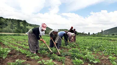 Üreticilere ÇKS Hatırlatması