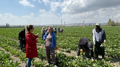 Zirai İlaç Denetimleri Sıklaştırıldı