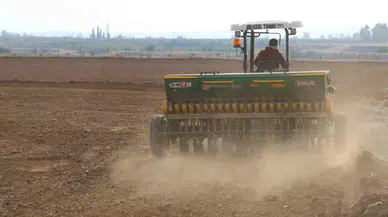 Adana’da Buğday Taneleri Toprakla Buluştu