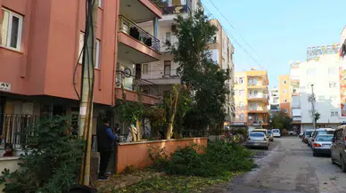 Ağaç Budarken Bütün Mahallenin Elektriğini Kesti, Elektronik Aygıtlarını Yaktı