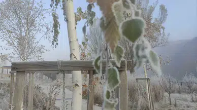 Ardahan’da Sibirya Soğukları Tesirli Oluyor