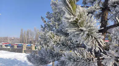 Ardahan’da Sibirya Soğukları