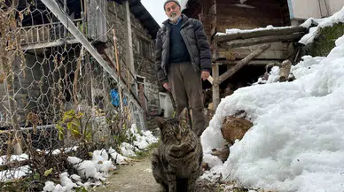 Artvin’de Mezrada Mahsur Kalan Kedileri İçin Karlı Yolları Aşarak Yiyecek Taşıyor