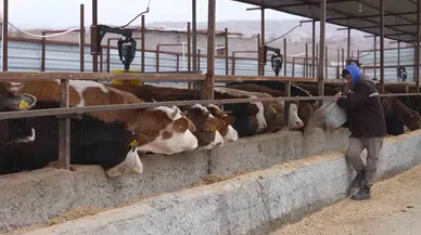 Az Hayvanla Başladılar, Takviyeler Sayesinde Artık Dev Çiftlik Kurmaya Hazırlanıyorlar