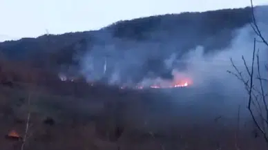 Bolu’daki Örtü Yangını Denetim Altına Alındı