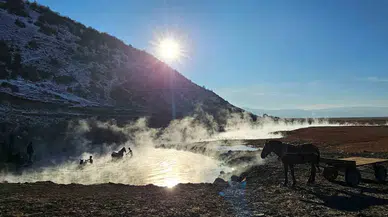 Eksi 15 Derecede Atların Kaplıca Keyfi