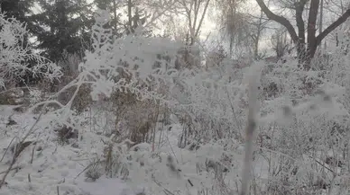 Göle’de Hayat Dondu, Eksi 22 Derece