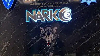 Kapıkule’de Kokaini Bedenine Saran Tır Şoförü Tutuklandı