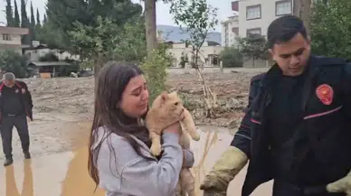 Kolda Mahsur Kalan Kedisi Kurtarılınca Sevinçten Gözyaşı Döktü