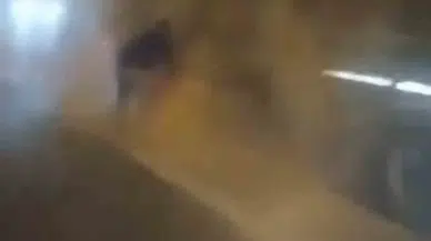 Lastiği Tutuşan Tırı Süratli Müdahale ile Kül Olmaktan Kurtardılar