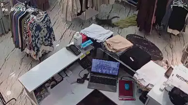 Mağazadan Elbise Çalan Haylaz Kediyi Güvenlik Kamerası Ele Verdi