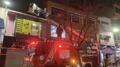 Meskenden Kaçıp Çatıda Mahsur Kalan Kediyi İtfaiye Kurtardı
