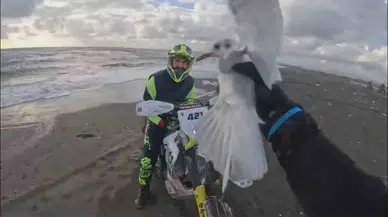 Motosikletiyle Yakaladığı Yaralı Martıya Can Oldu