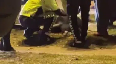 Pilot Trafik Kazasında Hayatını Kaybetti