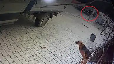 Tırla Çarpışan Motosikletin 84 Yaşındaki Şoförü Hayatını Kaybetti