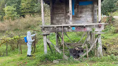 Trabzon’da Kokarcayla Çabada 1 Milyon 312 Bin Metrekarelik Alan İlaçlandı