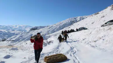 Yaban Hayatını Unutmadılar
