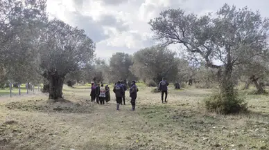 "Yeşil Altın" Bekçileri Hırsızlara Geçit Vermiyor