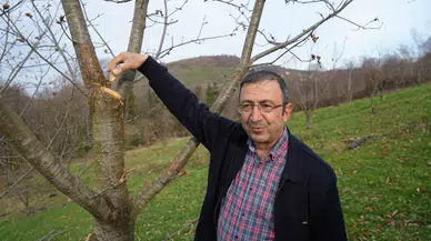 Yıllardır Süren Araştırma: 500 Bitkiden Yalnızca 35’i Sağlam Kaldı