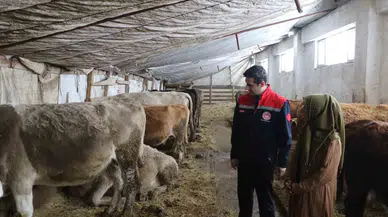 25 Yıl Sonra Döndüğü Memleketinde Kendi İşletmesini Kurarak Bayanlara Örnek Oldu