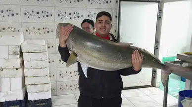 50 Kiloluk Akya Balığını 2 Kişi, 2 Saatlik Gayretle Yakalamayı Başardı