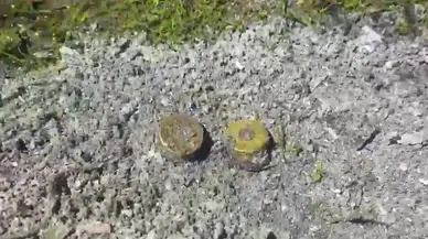 8 Yıl Boyunca Planlanan Cinayette Yeni Bir Ayrıntı Ortaya Çıktı